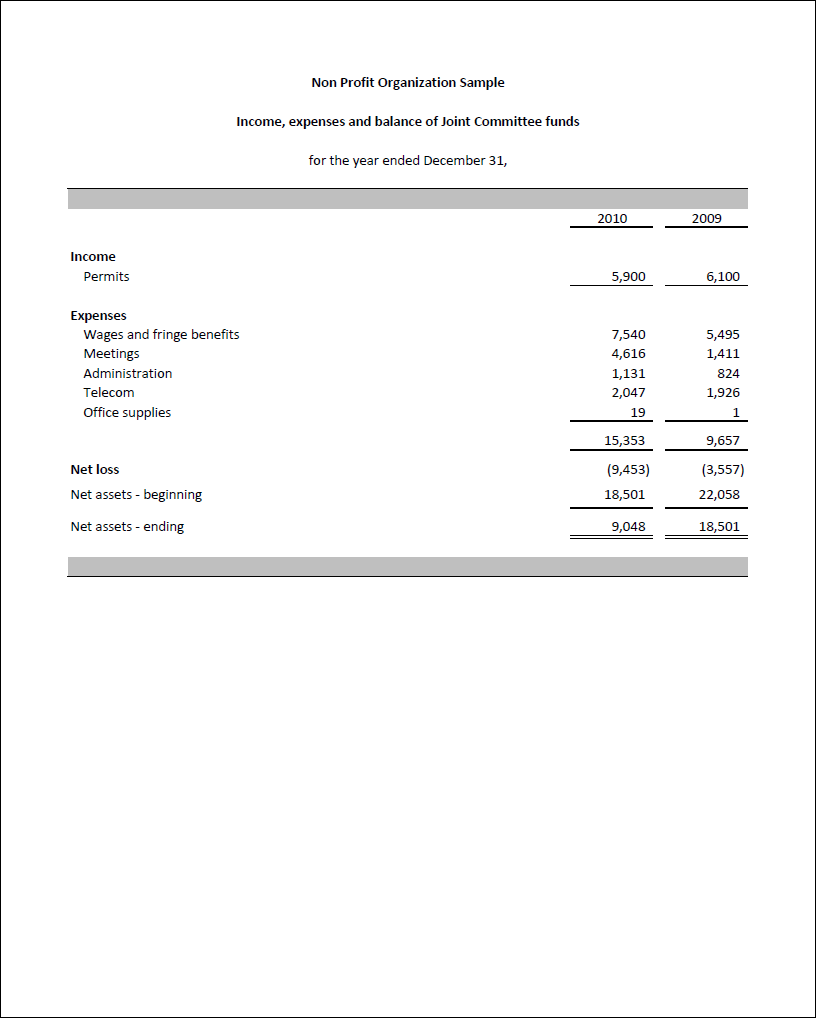 Non Profit Financial Statements Template from www.excel-fsm.com